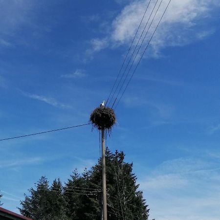 Schwarzwald Appartement Steinen  Exterior foto