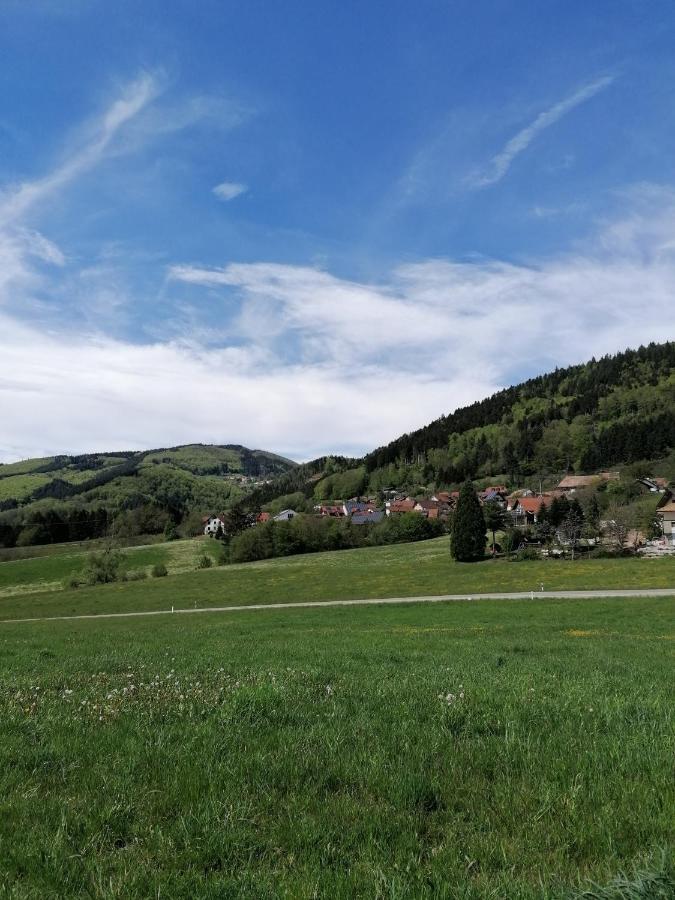 Schwarzwald Appartement Steinen  Exterior foto